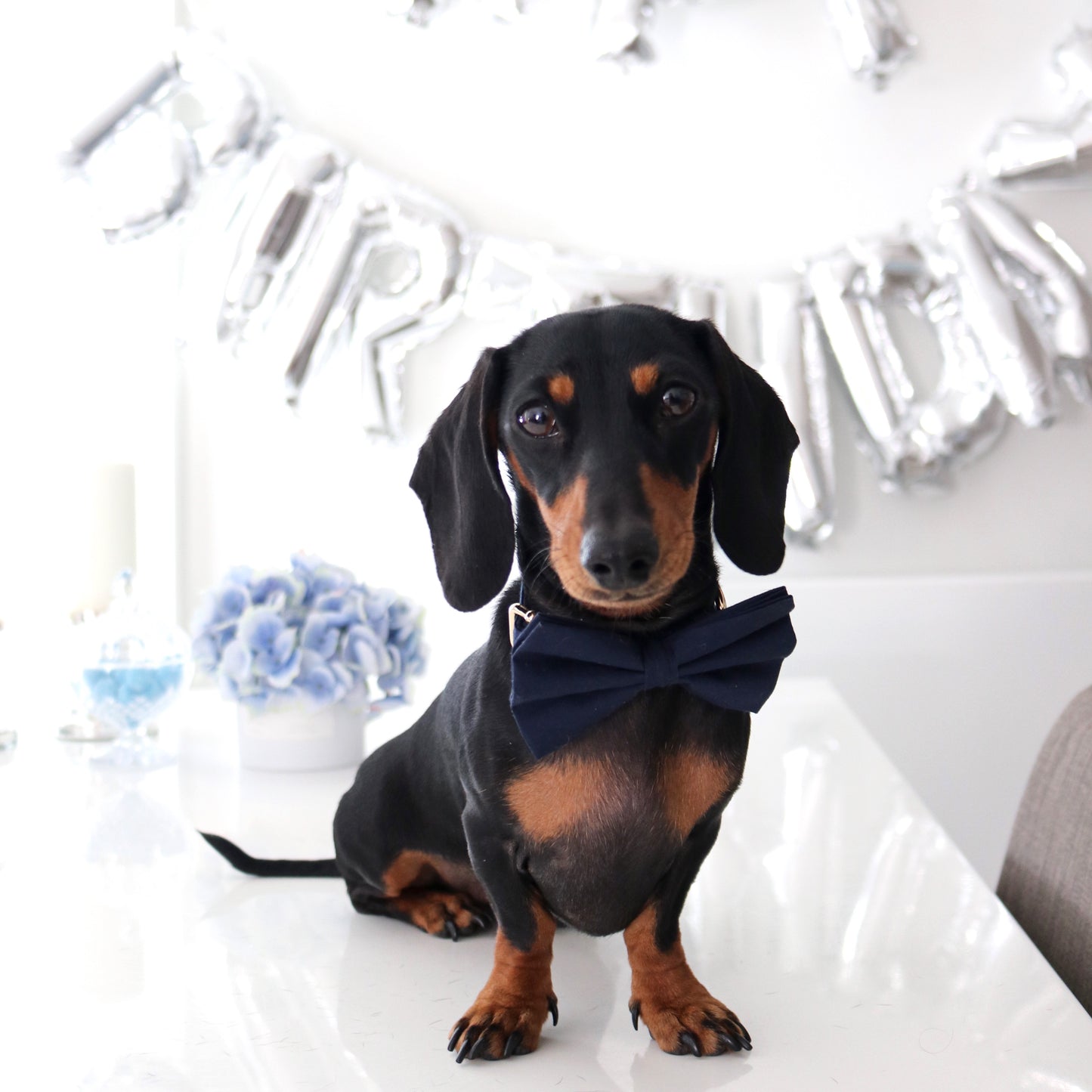 Cotton Bow Tie - Truly Navy