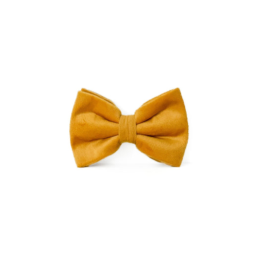 Velvet Bow Tie - Canary