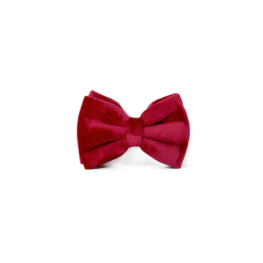 Velvet Bow Tie - Red Velvet
