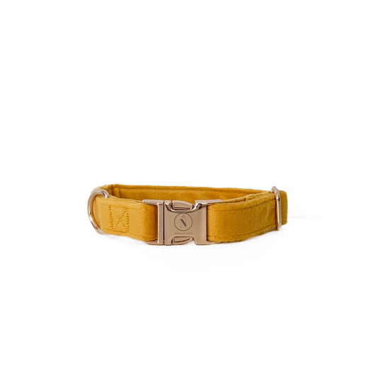 Velvet Collar - Canary