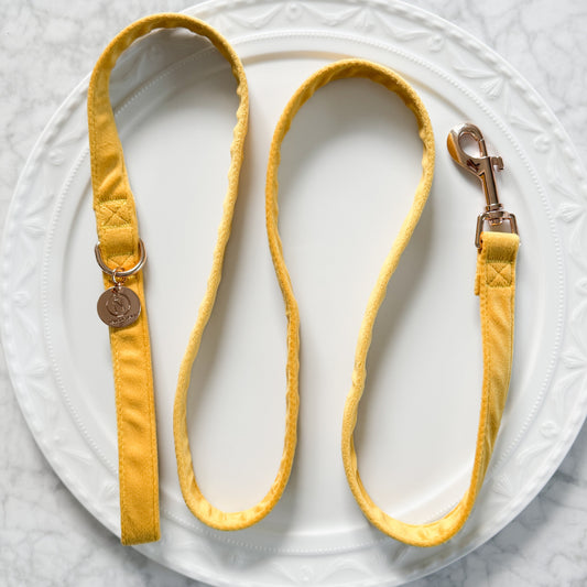 Velvet Leash - Canary
