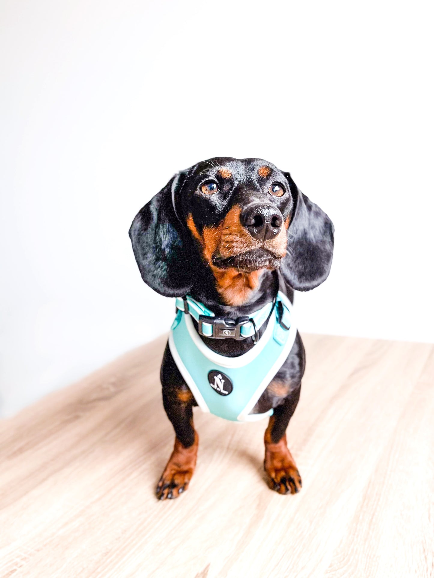 Adjustable Harness - Tiffany