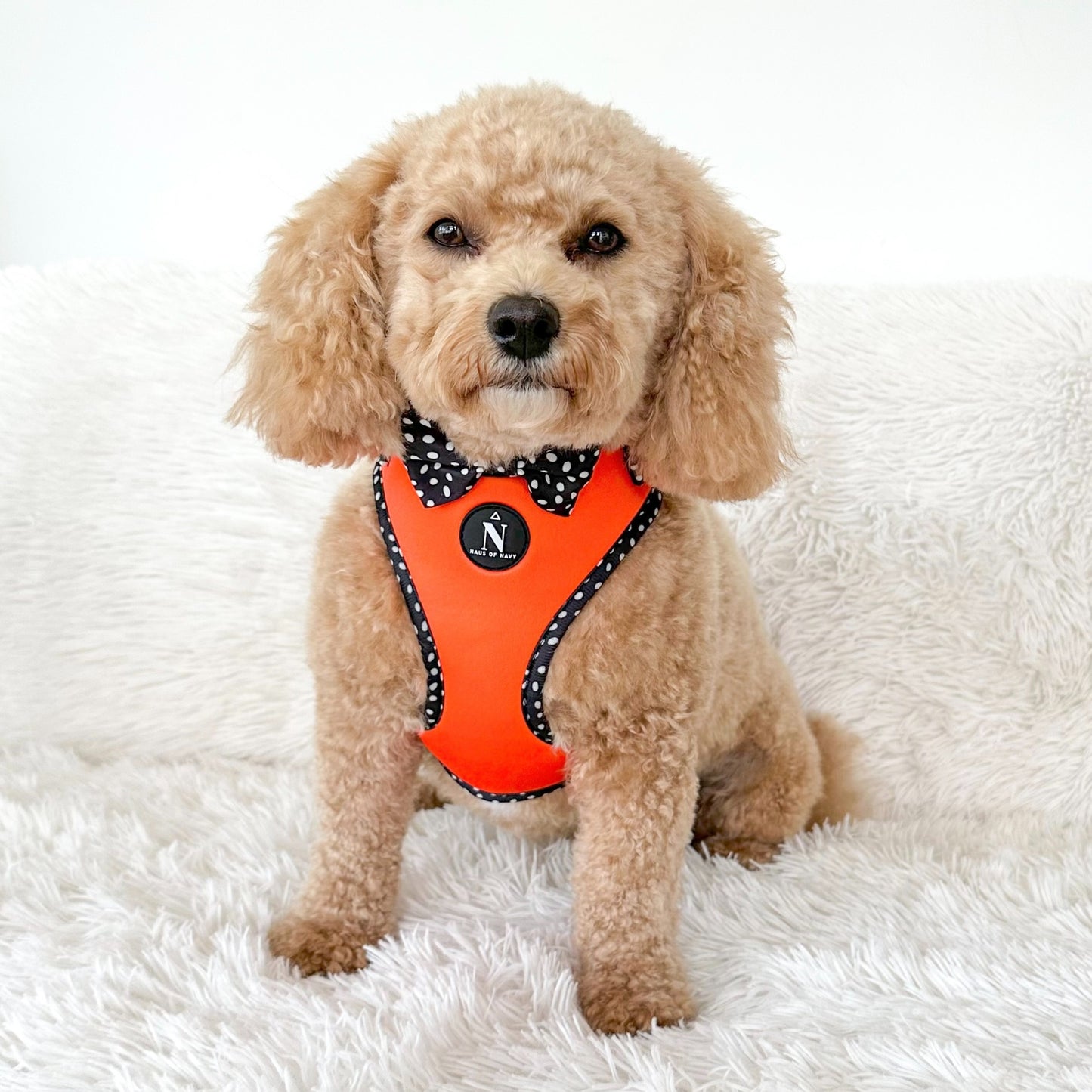 Adjustable Harness - Speckled Orange