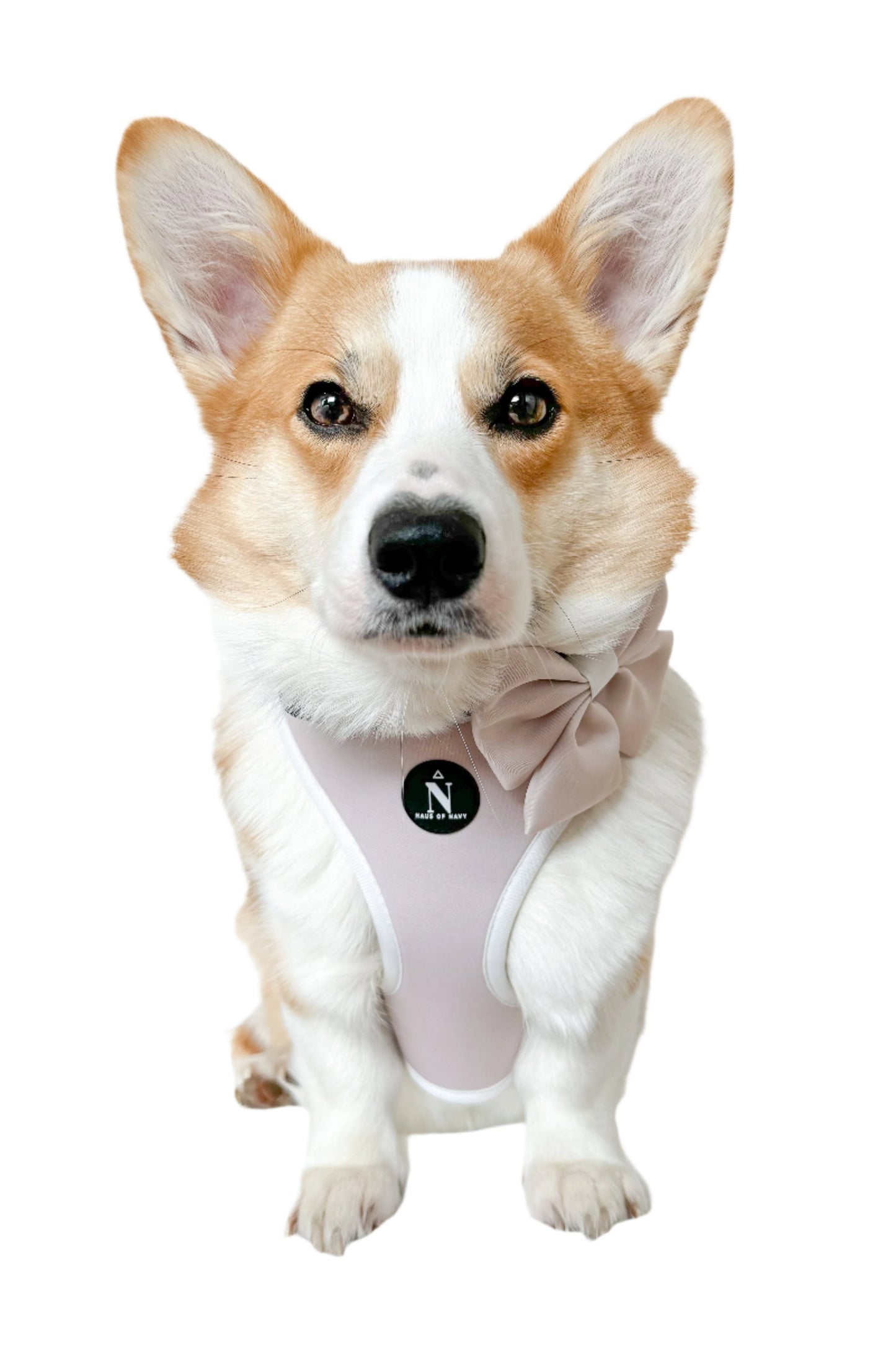 Adjustable Harness - Chloé