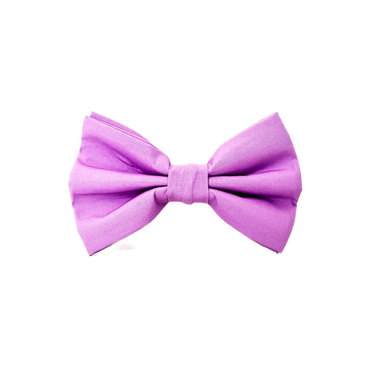 Cotton Bow Tie - Wisteria Lane
