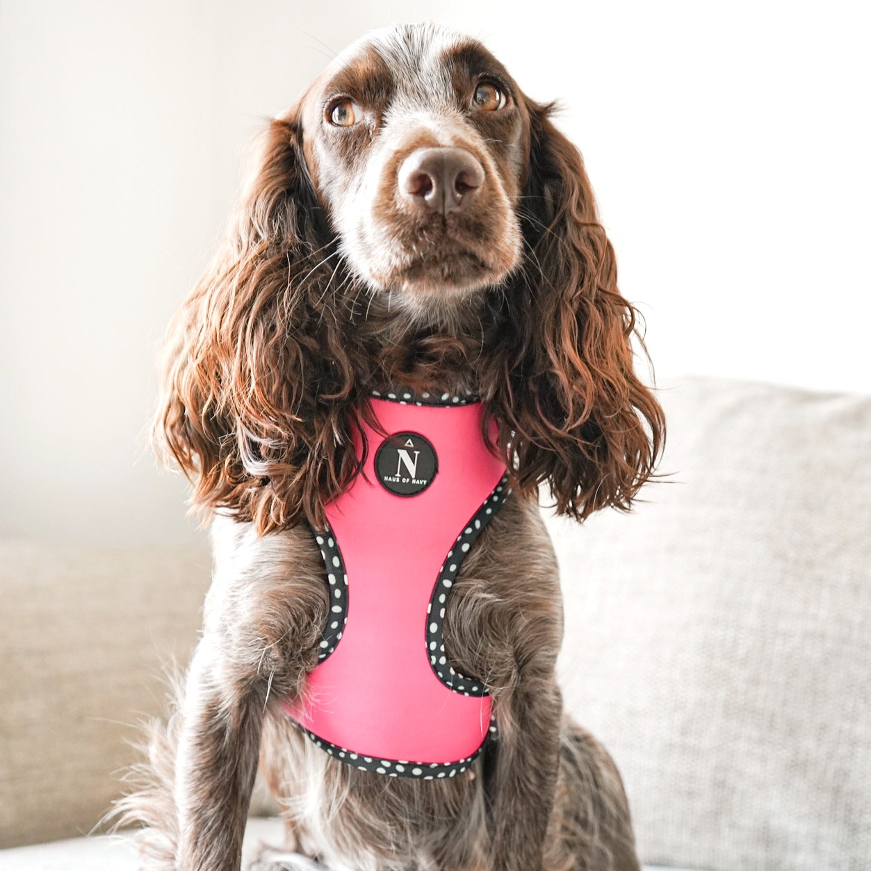 Adjustable Harness - Speckled Hot Pink