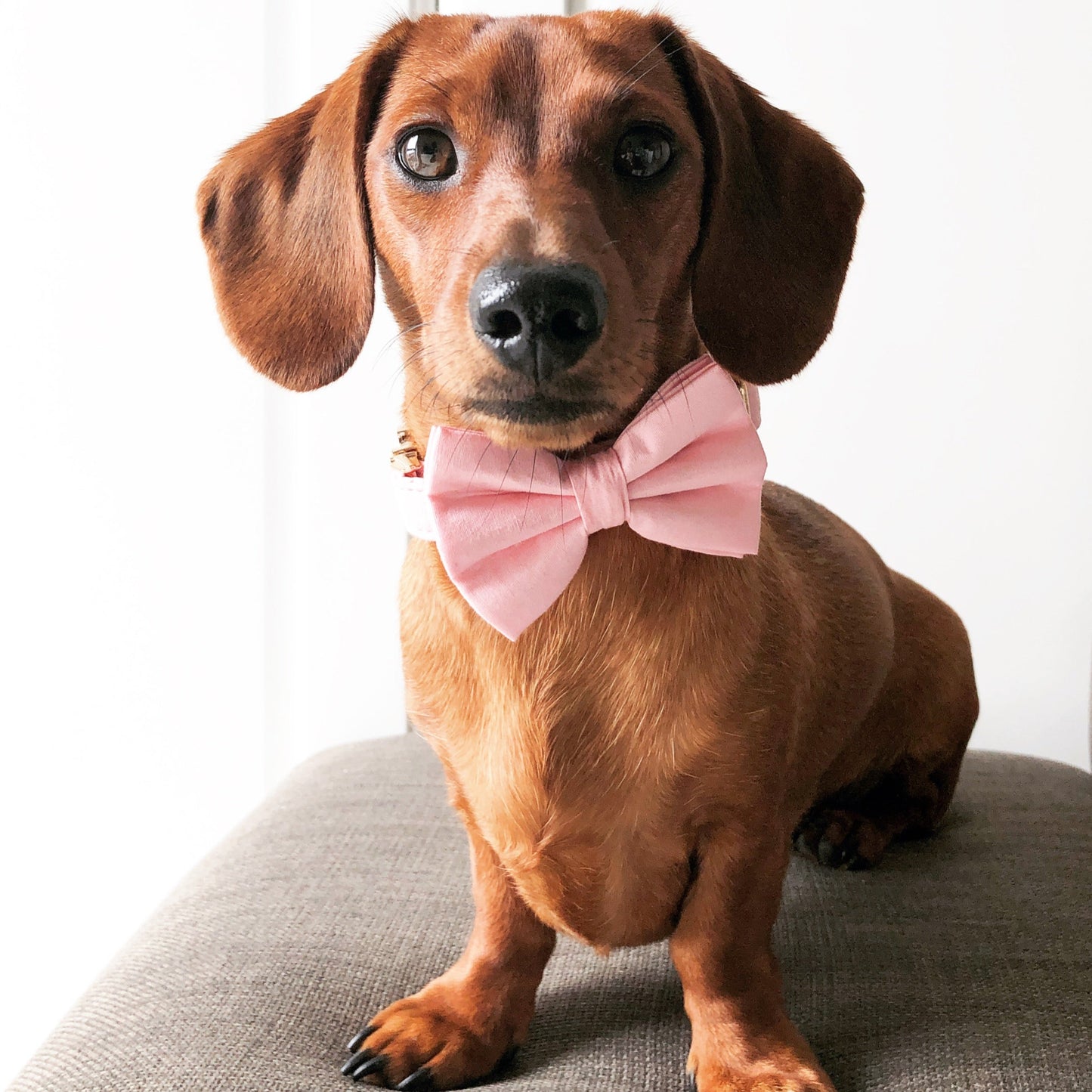 Cotton Bow Tie - Baby Pink