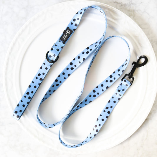 Leash - Doodle Dream