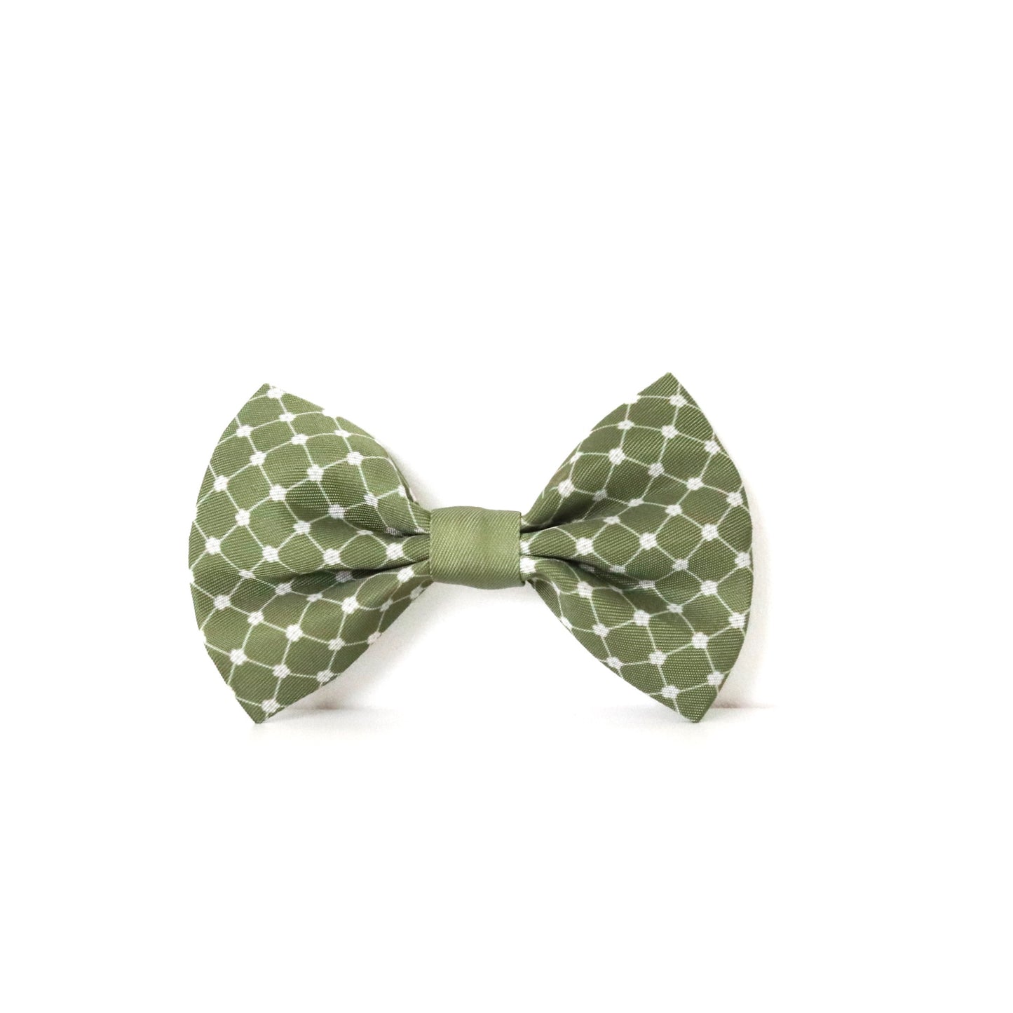 Bow Tie - Envy