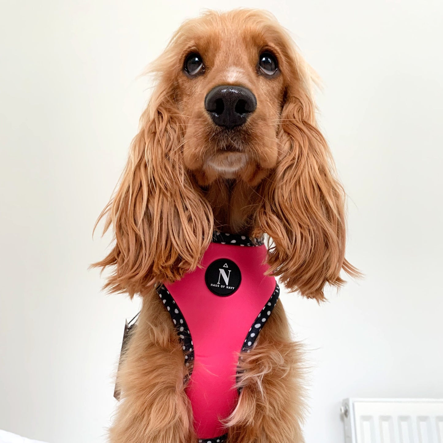 Adjustable Harness - Speckled Hot Pink