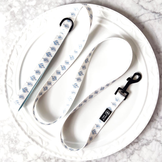 Leash - French Riviera