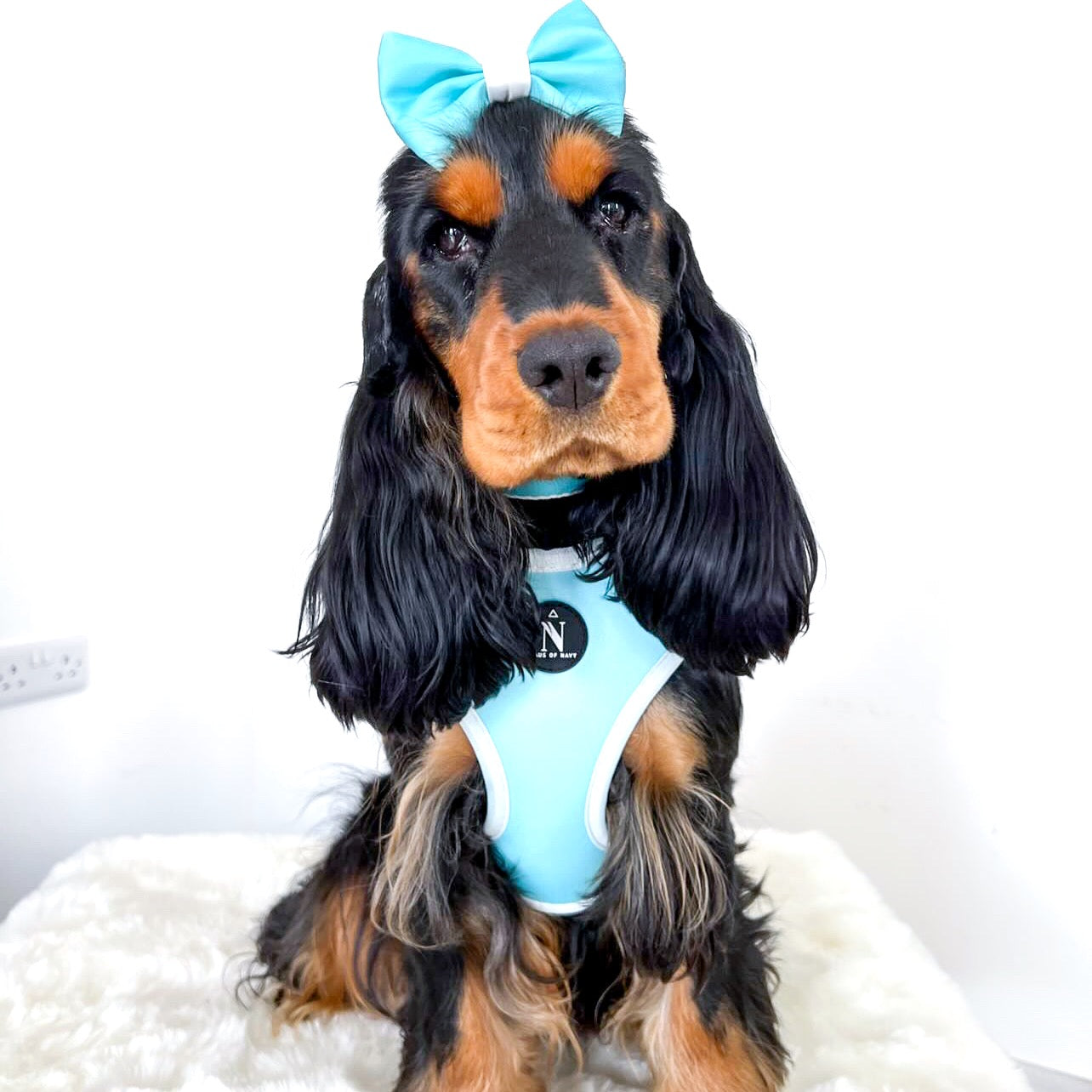 Bow Tie - Tiffany