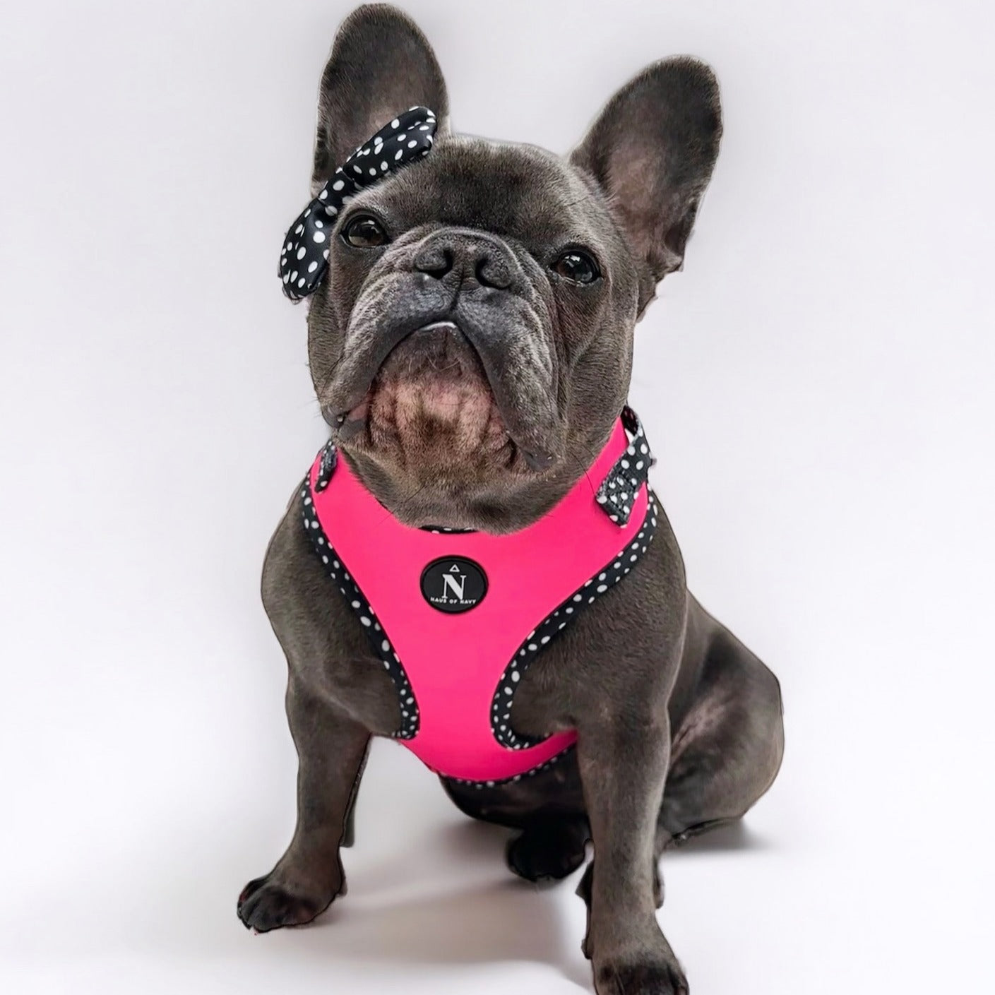 Adjustable Harness - Speckled Hot Pink