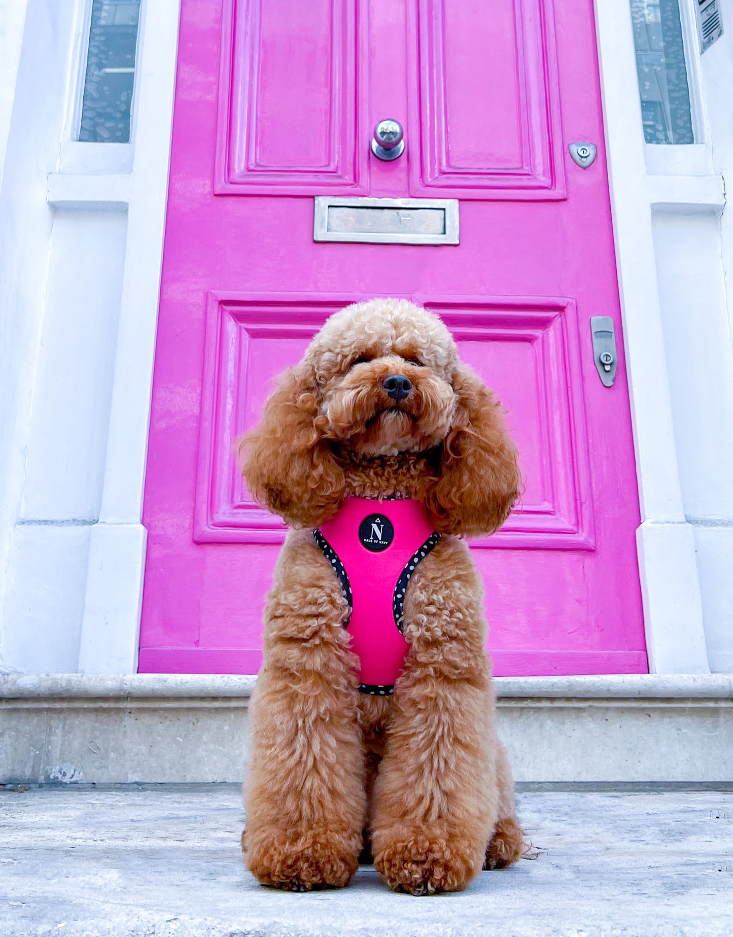 Adjustable Harness - Speckled Hot Pink