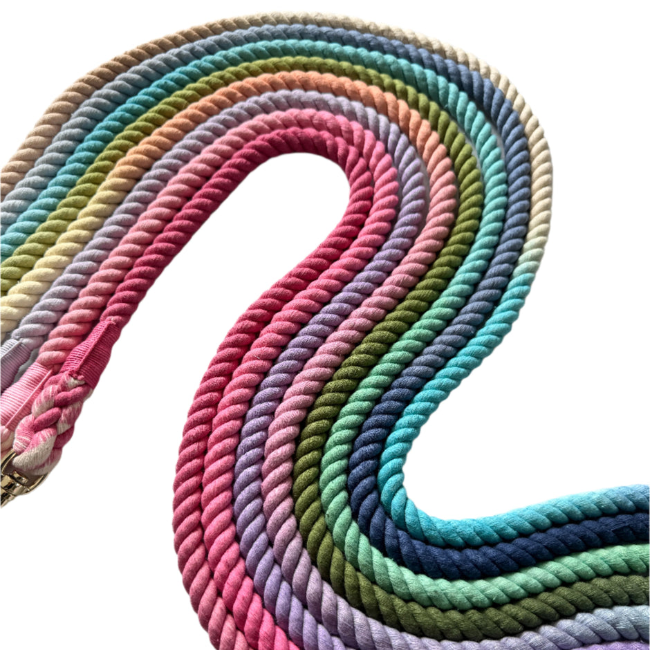 Cotton Rope Leashes – Haus of Navy