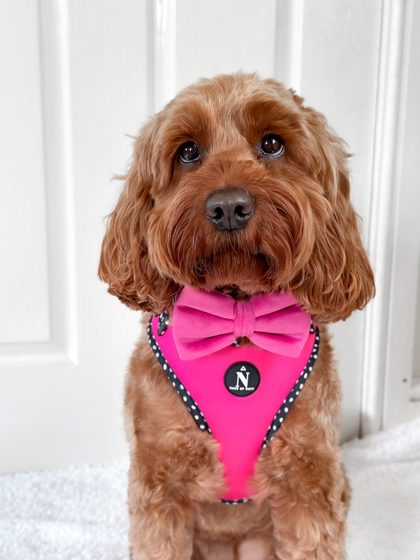 Adjustable Harness - Speckled Hot Pink