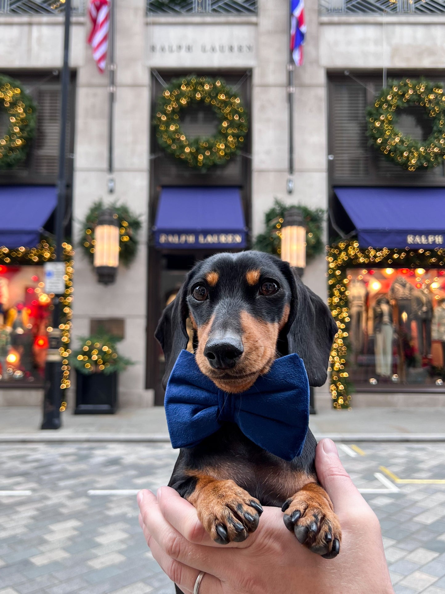 Velvet Bow Tie - Sapphire