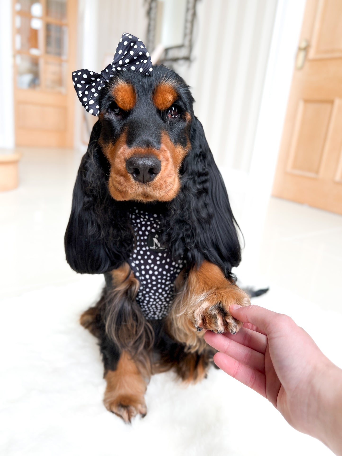 Bow Tie - Speckled