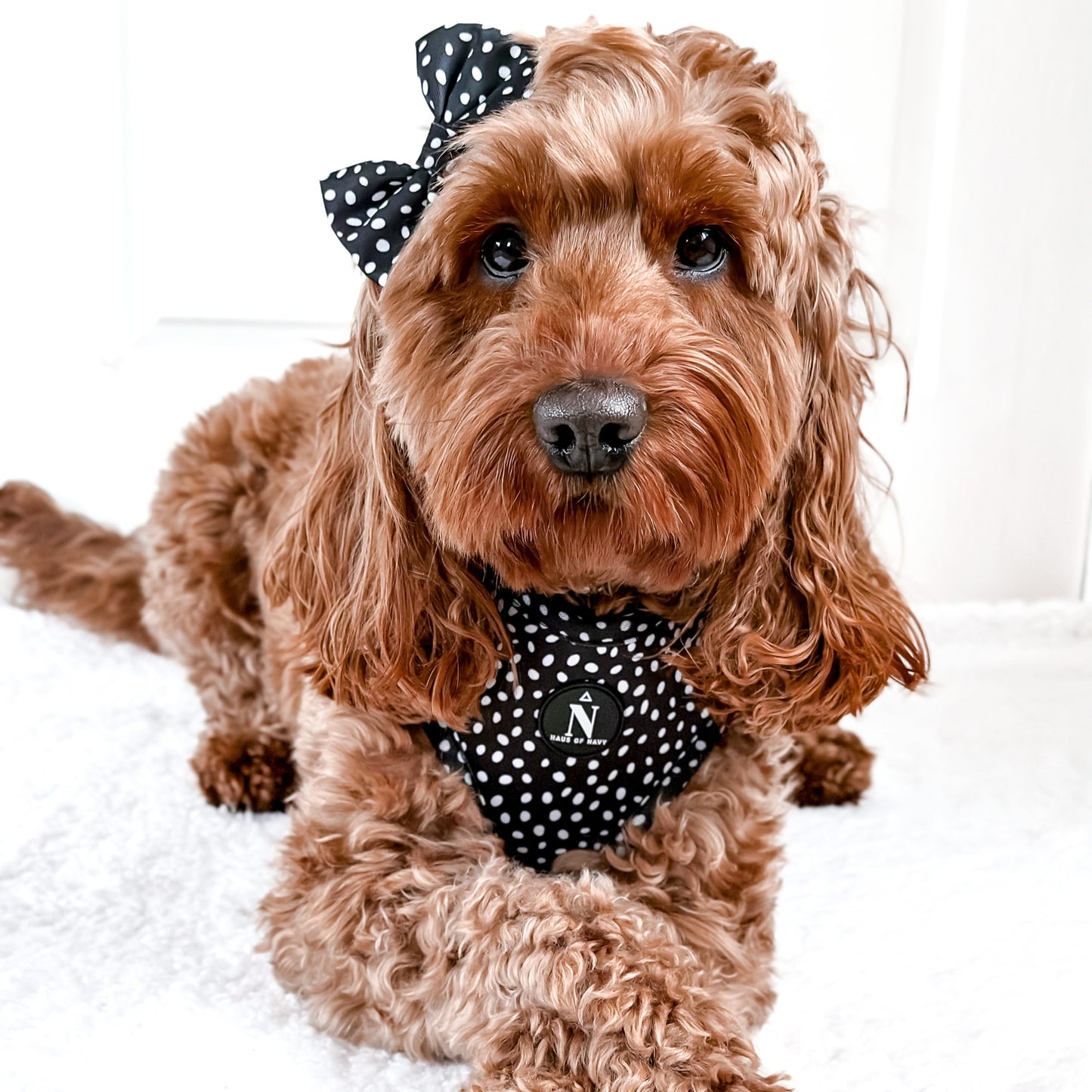 Bow Tie - Speckled