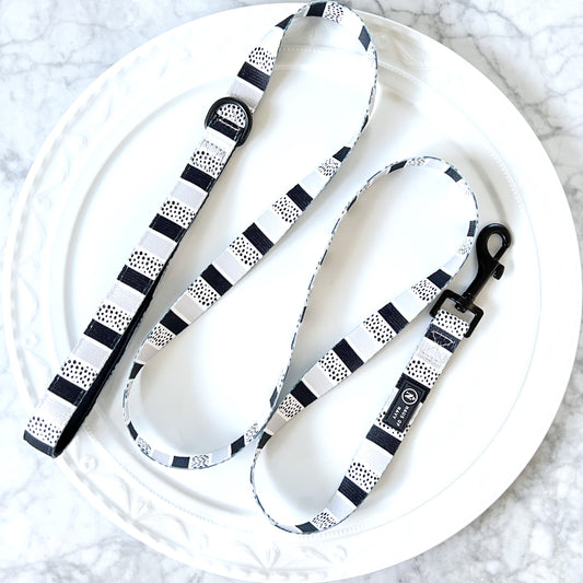 Leash - The Modernist